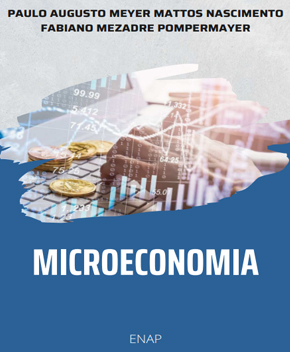 Curso: Microeconomia – Paulo Mattos