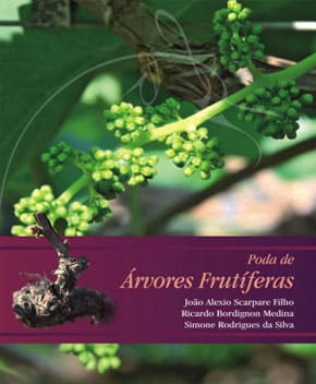 Poda de Árvores Frutíferas – Ricardo Medina